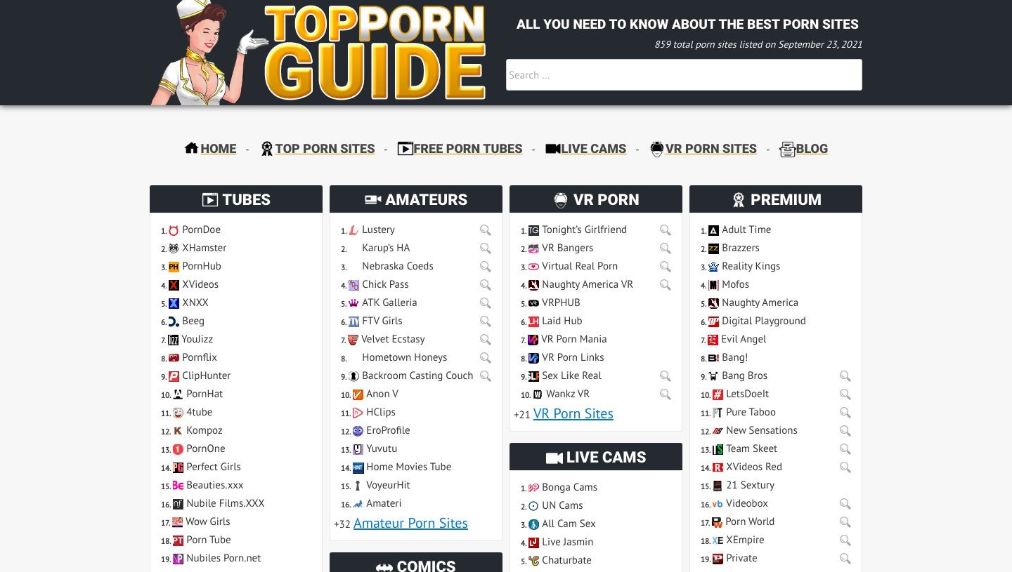 Top Porn Guide